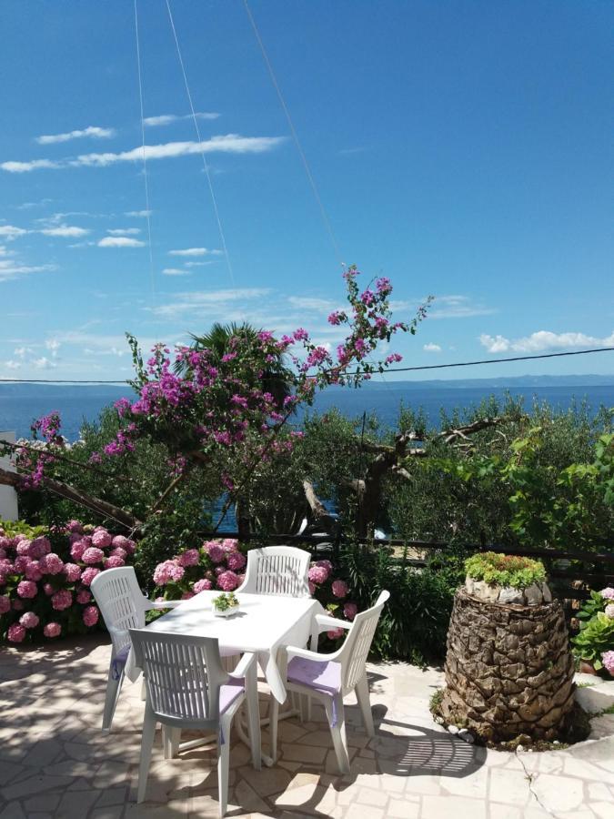 Apartment Hortenzija Baška Voda Exteriér fotografie