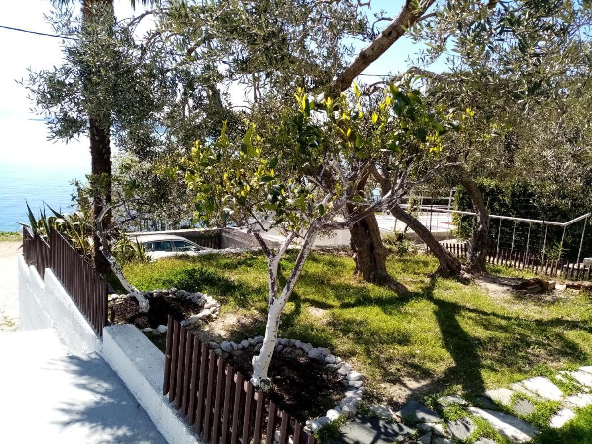 Apartment Hortenzija Baška Voda Exteriér fotografie